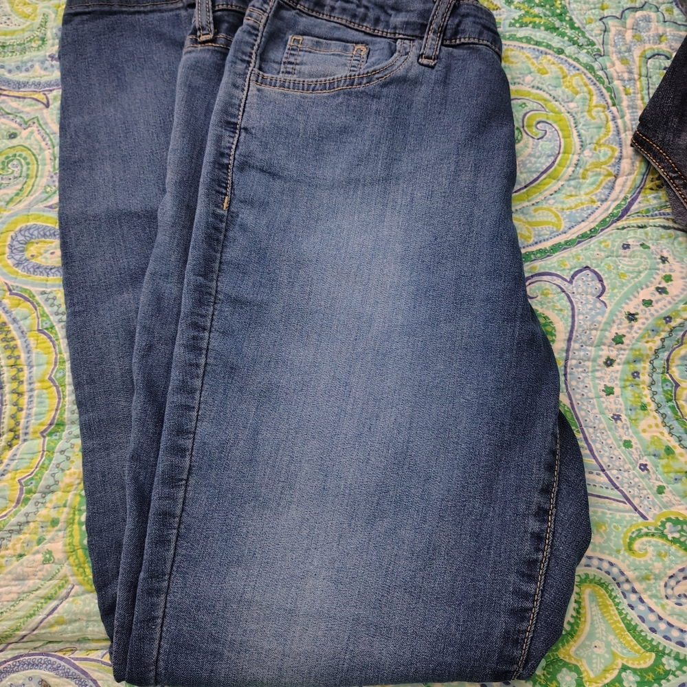 Ellen Tracy Blue Skinny Jeans